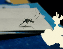 La Secretaría de Salud señala que el 71% de los fallecidos padecían hipertensión, diabetes o las dos enfermedades en simultáneo. UNSPLASH / M. GIRISH