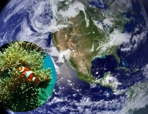 El descubrimiento sucedió durante una expedición llevada a cabo en octubre de 2024. ESPECIAL/Pexels