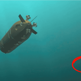 Investigadores descubren nueva especie con dedos en la cola