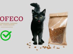 La salud, energía y suavidad de tu gato dependen en buena medida de una correcta nutrición. ESPECIAL/Pexels y Pixabay