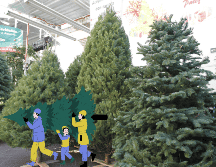 Adquiere un árbol navideño en estos lugares. EL INFORMADOR / ARCHIVO