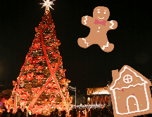 Es un postre que destaca por su textura suave y compacta. EL INFORMADOR / ARCHIVO