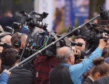 Fanáticos han aplaudido al elenco que dará vida a los personajes de esta icónica película de DreamWorks. ESPECIAL/ Imagen de Michal Kryński en Pixabay