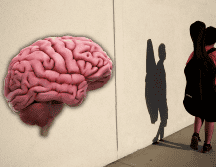 El cuerpo es un sistema complejo de almacenamiento de información que va más allá del cerebro. AP / ARCHIVO