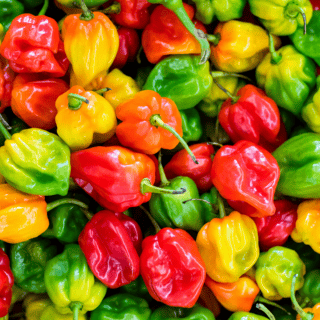 El pimiento morrón: una fuente de vitamina C superior a los cítricos