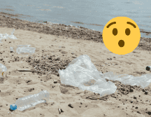 Los expertos esperan que el nuevo plástico ayude a reducir la nociva contaminación por microplásticos. Pexels