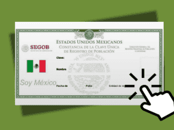 Aunque la página genera el documento para imprimir, no todas las versiones de la CURP están certificadas. ESPECIAL