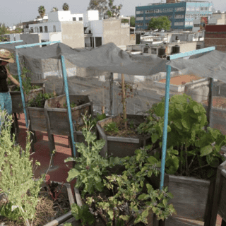 Conoce una tendencia sostenible en la alimentación