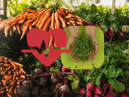 Los alimentos vegetales son indispensables en una dieta balanceada y saludable. PEXELS / CANVA