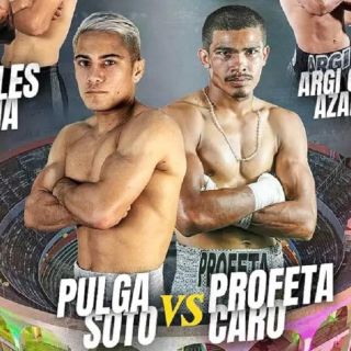 Peleas de box hoy sábado 23 de noviembre: horarios y dónde ver la cartelera completa