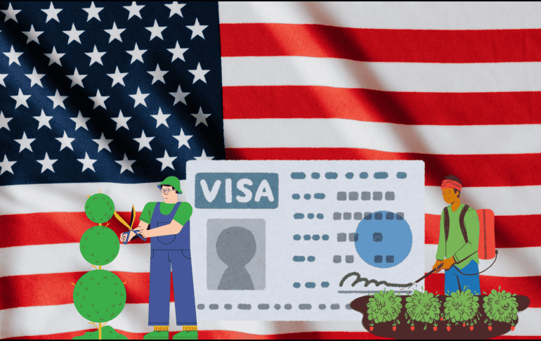 Conoce los trabajos que puedes desempeñar en caso de conseguir la Visa de Trabajo. CANVA
