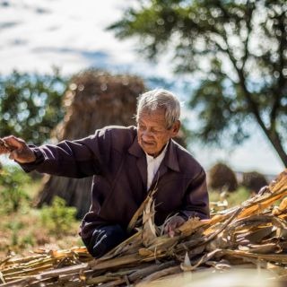 Sector agropecuario impulsa economía en México; suma 12 trimestres con alzas