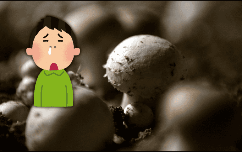 Las alergias se producen cuando el sistema inmunitario reacciona a una sustancia extraña que haya ingresado en nuestro organismo, pero un alimento ayuda a combatirlas. AFP / ARCHIVO