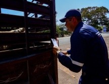 Se instalaron  Puntos de Verificación de Inspección para revisar los cargamentos de ganado. ESPECIAL