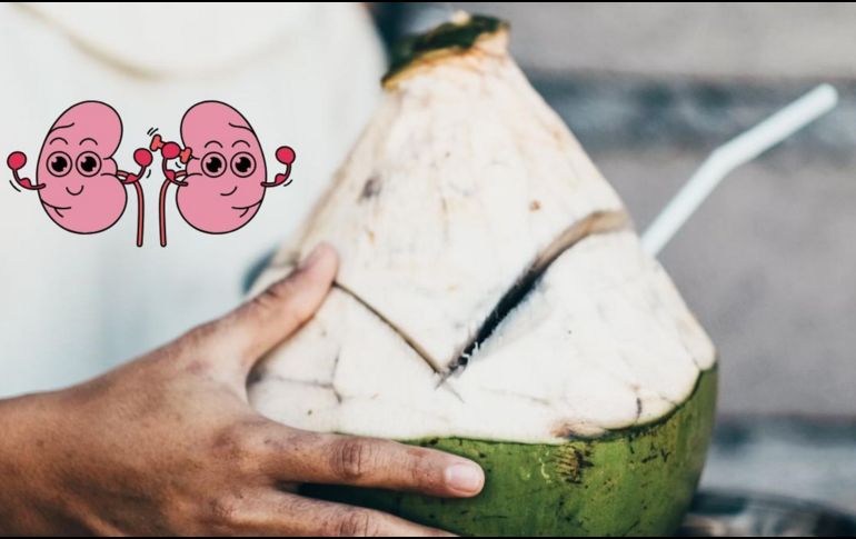 Una persona puede mantener sus riñones sanos si se mantiene bien hidratada. UNSPLASH / J. LIM