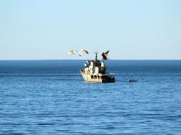 El océano es un cuerpo de agua que recubre más del 70% de la superficie terrestre del planeta. NTX / ARCHIVO