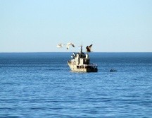 El océano es un cuerpo de agua que recubre más del 70% de la superficie terrestre del planeta. NTX / ARCHIVO