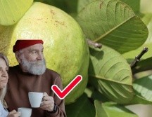 México es el cuarto productor de guayaba en el mundo. ESPECIAL/Pexels