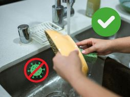 El laurel y el bicarbonato son excelentes agentes limpiadores, te decimos cómo mezclarlos para que tus trastes huelan como nuevos.ESPECIAL/Pexels y Canva