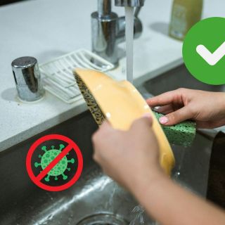 Esta mezcla de hojas de laurel y bicarbonato te ayuda a limpiar mejor tus trastes