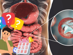 El día de hoy en EL INFORMADOR compartimos algunas recomendaciones generales para desparasitarse, así como cada cuánto tiempo debe de realizarse y algunos beneficios extra que puede traer. ESPECIAL/ CANVA