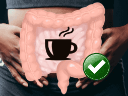 Una buena salud del intestino es primordial para tener un buen estado de ánimo y prevenir enfermedades cardiovasculares. PEXELS / CANVA