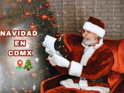 La navidad llega a la Ciudad de México y trae diversos eventos para los mexicanos y el mundo. Pexels/G. Fring
