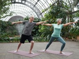 El envejecimiento tiene un impacto significativo en los músculos, por lo que adoptar hábitos saludables, como realizar ejercicio regularmente y llevar una dieta equilibrada, es una de las principales recomendaciones de los expertos para personas de todas las edades. Pexels