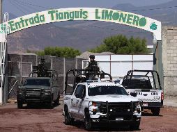 Los efectivos continúan con patrullajes, labores de vigilancia y visitando huertas y empacadoras de limón de Apatzingán, Buenavista Tomatlán, Parácuaro, Múgica, Tepalcatepec y Aguililla. SUN/D. Simón