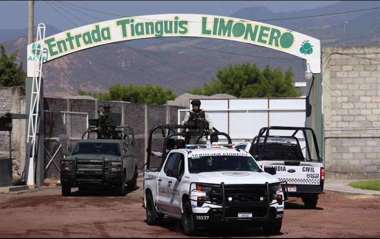 Los efectivos continúan con patrullajes, labores de vigilancia y visitando huertas y empacadoras de limón de Apatzingán, Buenavista Tomatlán, Parácuaro, Múgica, Tepalcatepec y Aguililla. SUN/D. Simón