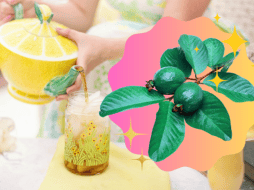 Las hojas de guayaba contribuyen a controlar el ácido úrico, la hipertensión, la hinchazón en las piernas y los síntomas de diarrea. ESPECIAL/Imagen de Jill Wellington en Pixabay/Canva