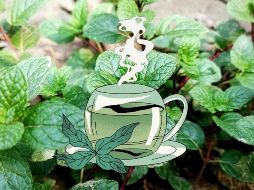 El aceite de la hoja de hierbabuena muestra actividad antibacteriana. UNSPLASH / S. XANI