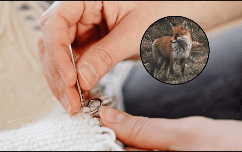 Se examinaron 32 fragmentos de agujas de huesos recogidas en el yacimiento. Pexels