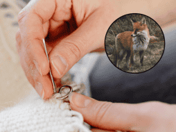 Se examinaron 32 fragmentos de agujas de huesos recogidas en el yacimiento. Pexels