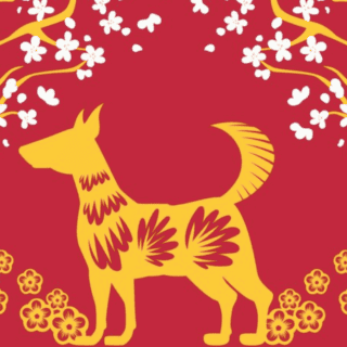 3 signos del zodiaco chino que brillarán durante la semana del Perro de Madera