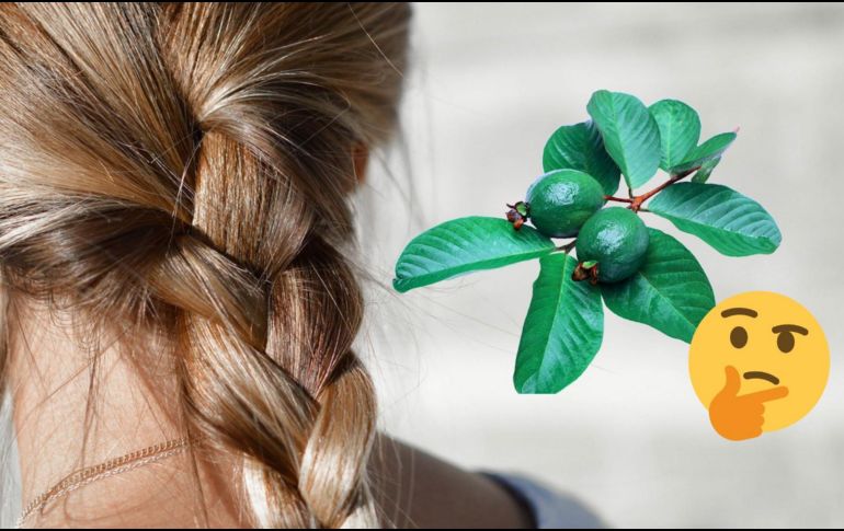 La guayaba es una fruta de temporada que se cultiva principalmente en los meses de otoño e invierno. ESPECIAL/Pixabay