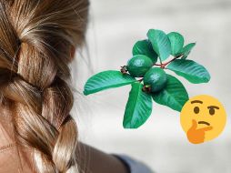 La guayaba es una fruta de temporada que se cultiva principalmente en los meses de otoño e invierno. ESPECIAL/Pixabay