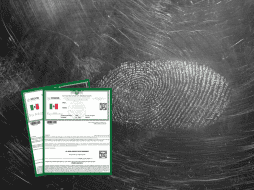 Se ha generado una nueva herramienta para reforzar la seguridad y facilitar los trámites gubernamentales. ESPECIAL/ Unsplash.