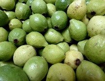 La guayaba se posiciona como una de las frutas más completas y beneficiosas para incluir en la dieta diaria. EL INFORMADOR / ARCHIVO