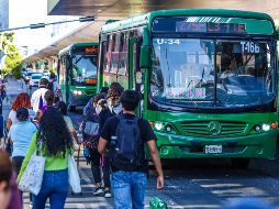 Para cubrir la demanda del servicio, algunos choferes han aumentado sus jornadas laborales, aunque va en contra del modelo ruta-empresa impulsado por el gobierno estatal. EL INFORMADOR/A. Navarro