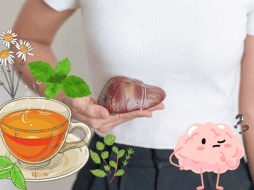 Hoy te compartimos en EL INFORMADOR cuáles son los tés de hierbas que benefician a la salud de tu hígado, así que toma nota. ESPECIAL/ CANVA