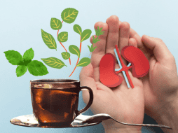 Los tés para los riñones pueden ser beneficiosos para la salud renal, ya que algunos contienen propiedades antioxidantes, antiinflamatorias y diurética. ESPECIAL/ CANVA
