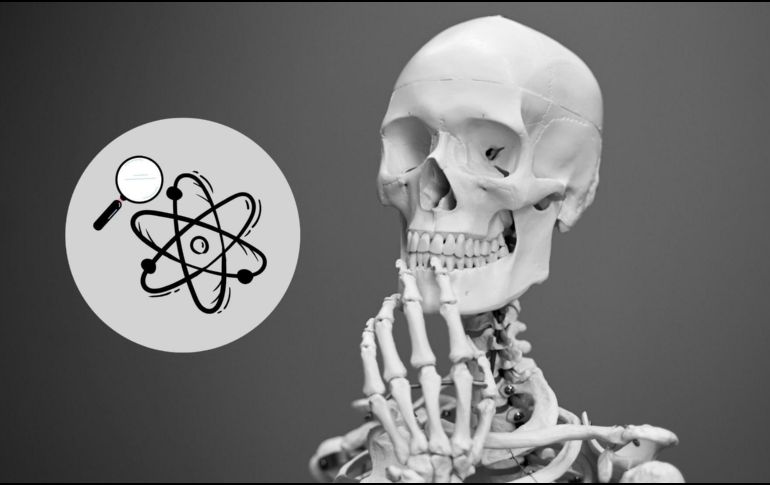 El descubrimiento de Lucy ha sido una referencia ineludible en la paleoantropología.ESPECIAL/Unsplash y Canva