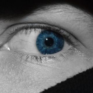 Descubre la fobia más extraña del mundo: la 'trihexafobia'