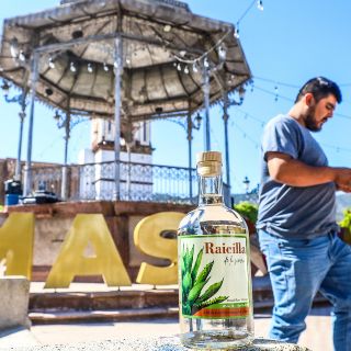 Detona Denominación de Origen crecimiento de la raicilla