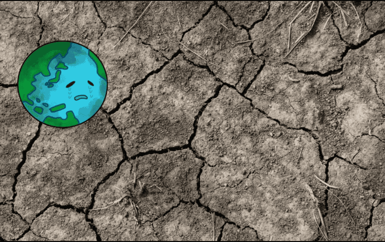 Los fenómenos de la sequía impactan en áreas clave. UNSPLASH / M. CORREA