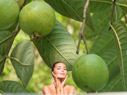 Hay múltiples beneficios que puedes aprovechar de la planta de guayaba. ESPECIAL / UNSPLASH Anisa Wulan Asri