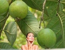 Hay múltiples beneficios que puedes aprovechar de la planta de guayaba. ESPECIAL / UNSPLASH Anisa Wulan Asri