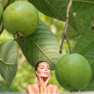 ¿Qué pasa si me lavo la cara con agua de hojas de guayaba?
