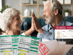 En 2023 algunos usuarios del sector de adultos mayores fueron exentos del pago del recibo CFE, por lo que los mexicanos se mantuvieron a la expectativa de si esta situación se repetiría este 2024. ESPECIAL/ CANVA